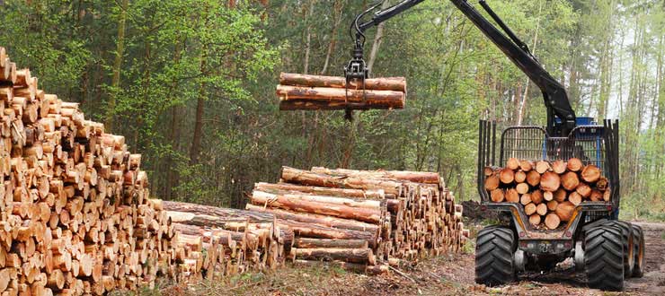Unternehmen Land- und Forstwirtschaft
